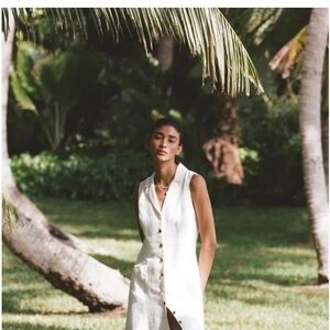 NWT Reformation Greene Linen Dress